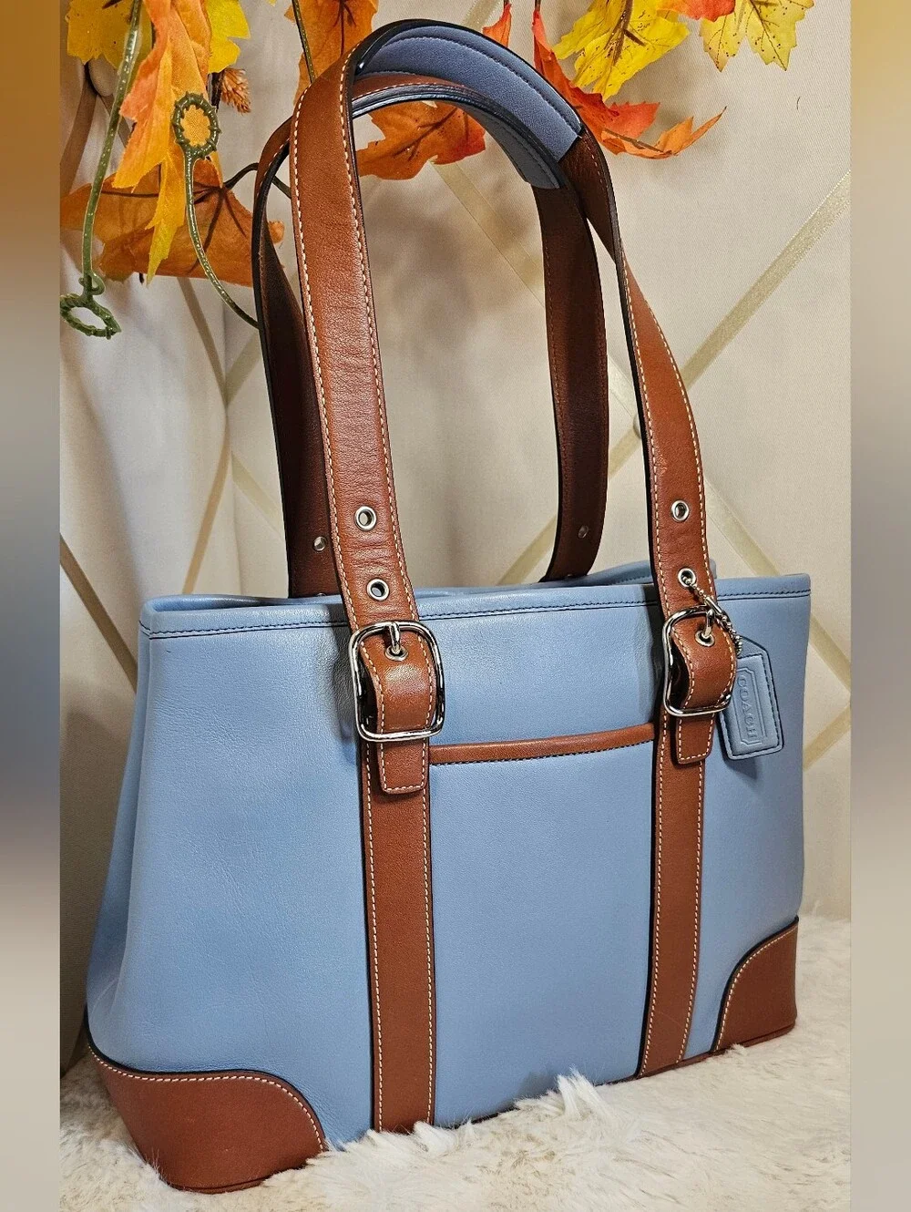 Coach Hampton Leather Tote Bag ( Model 7588)